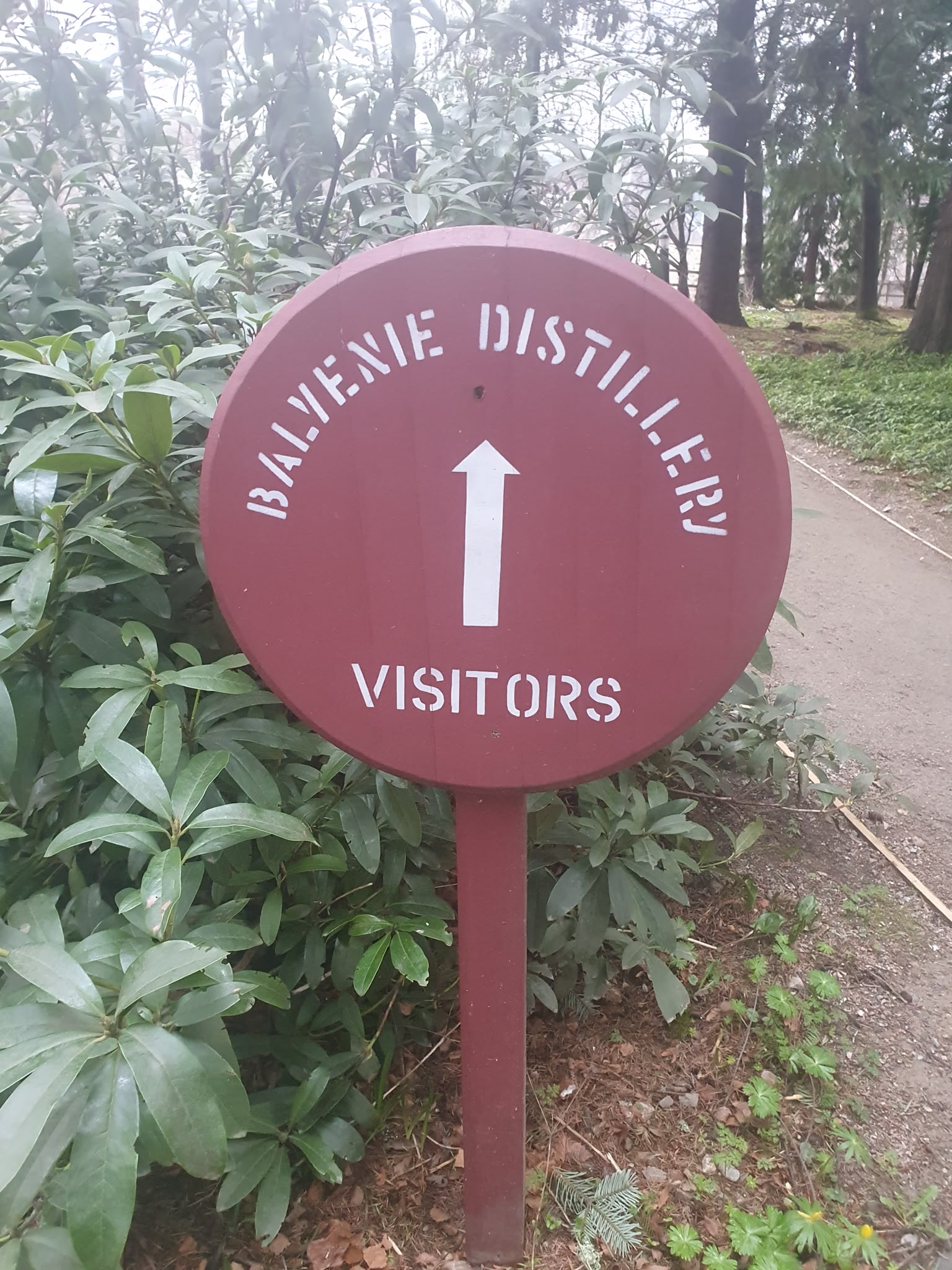 Photo 2026 06 23 08 31 33 2