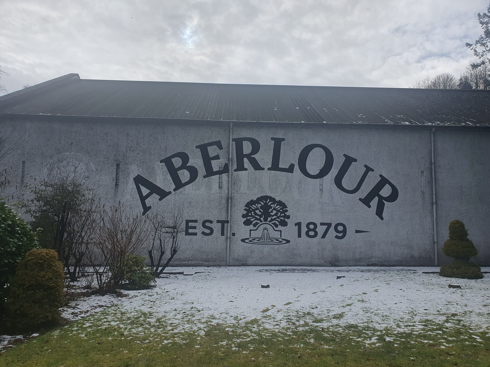 Photo 2026 06 23 08 31 41 4