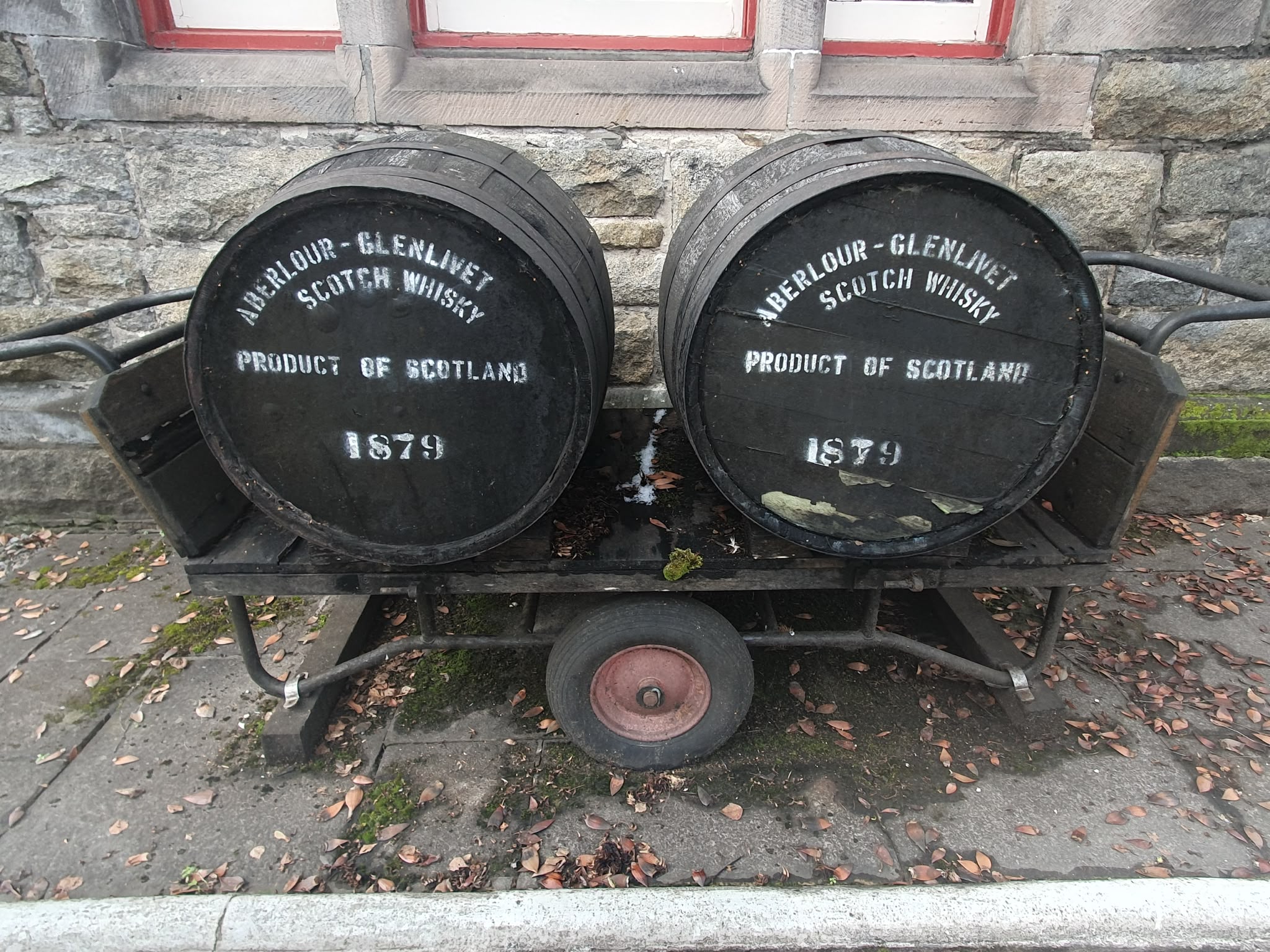 Photo 2026 06 23 08 31 42 2