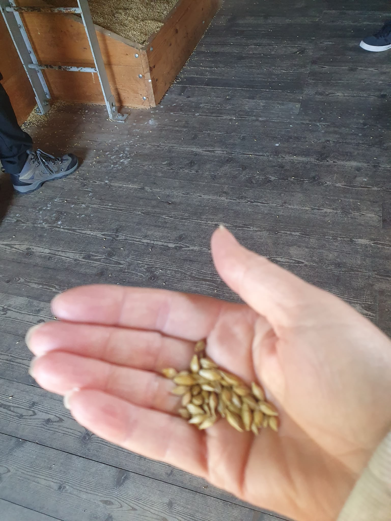 Photo 2026 06 23 08 31 43 2