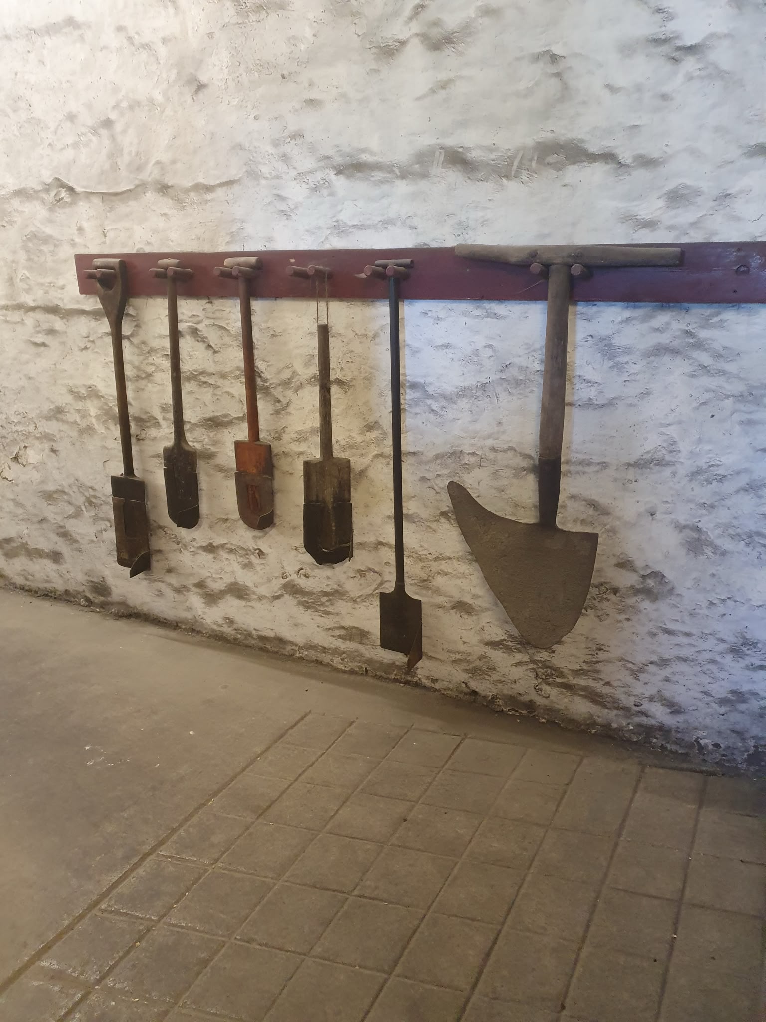 Photo 2026 06 23 08 31 43 3