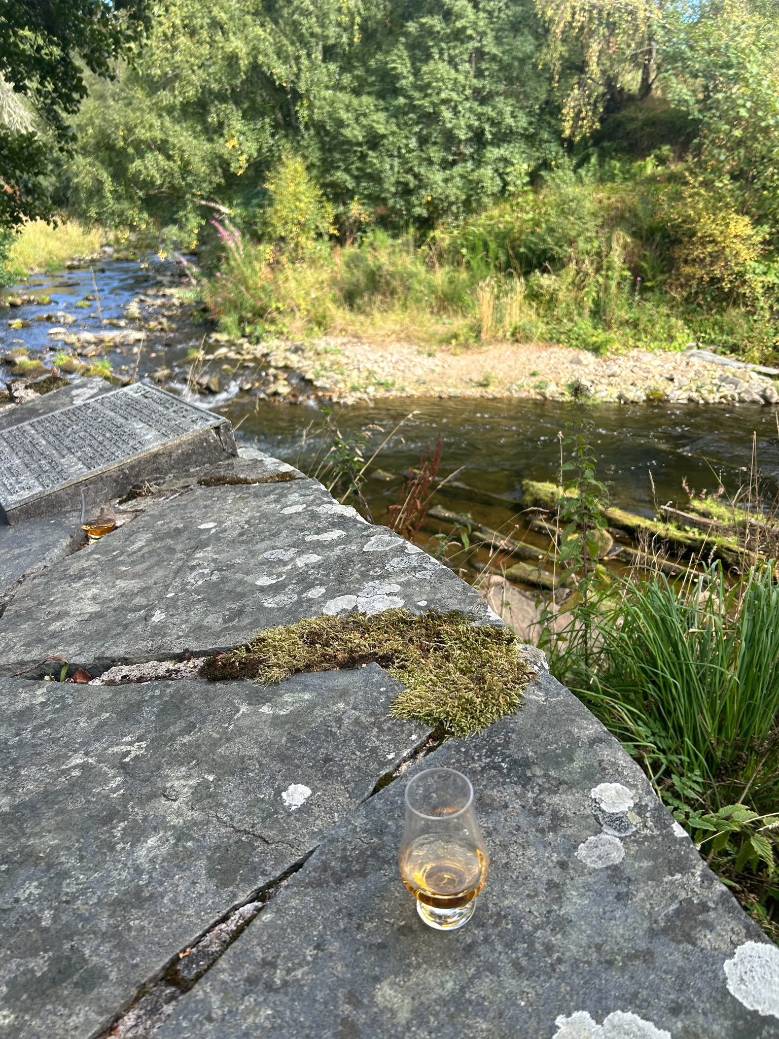 Photo 2026 06 23 08 34 09 6