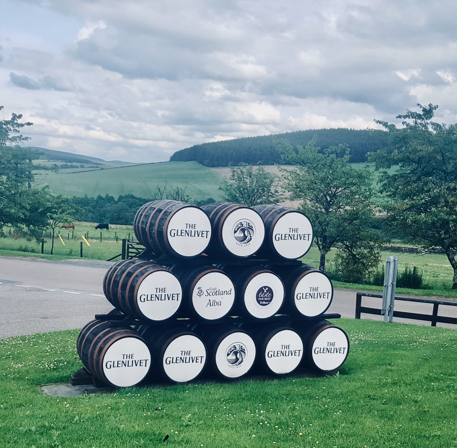 Glenlivet Casks